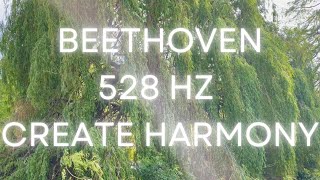 528Hz Beethoven Sonata No3 in C Major Adagio  Classical Music amp Solfeggio Frequency for Creativity [upl. by Muldon]