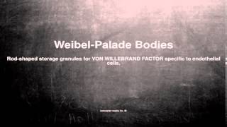 Medical vocabulary What does WeibelPalade Bodies mean [upl. by Nnayhs]