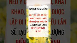 Luật hấp dẫn cho rằng baihoccuocsong shortvideo [upl. by Greeson]