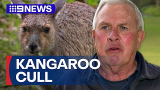 Farmers plan to cull rising number of kangaroos  9 News Australia [upl. by Neeloc]