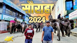 Sauraha Tour 2024 😍 [upl. by Zimmer]