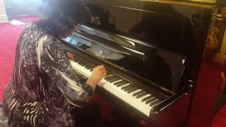 Lori Piitz Performs on Seiler SE132 with SMR Super Magnetic Repetition [upl. by Inuat]