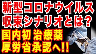 新型コロナ収束シナリオを考察厚労省 国内初治療薬承認へレムデシビル [upl. by Ahseekat]