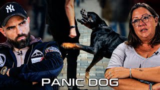 ROTTWEILER agressif  quotCest sa DERNIÈRE chancequot  Panic Dog Ep14 [upl. by Oer]