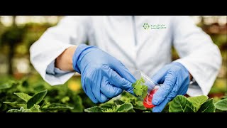 Best Fertilizers amp Agrochemical Pesticide Manufacturer Company in Saudi Arabia [upl. by Loni583]