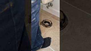 Replacing wax ring and closet bolts on toilet [upl. by Mallory]