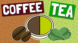 Caffeine in Coffee vs Tea  Health Benefits amp Can You Drink Too Much [upl. by Notnarb]