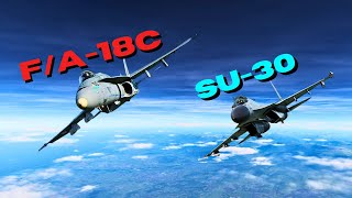 SU30 Vs FA18C  Intense Dogfight  DCS World dcsworld [upl. by Issiah]