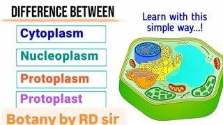 protoplasm colloidal solution cytoplasmprotoplast [upl. by Percy]