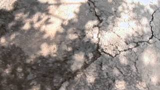 How to Resurface a Driveway [upl. by Sheeree493]