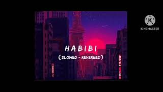 habibi song lyrics [upl. by Llerraj900]