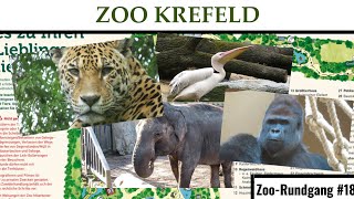 Zoo Krefeld 2022  ZooRundgang 18 [upl. by Aeslehc86]