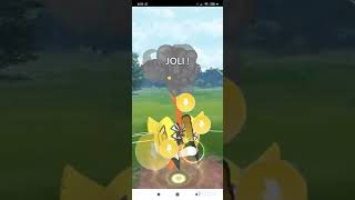 PVP sur pokémon go avec TOKORICO TOKOPIYON ET TOKOTORO [upl. by Ymeraj]