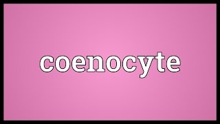 Coenocyte Meaning [upl. by Llewkcor]