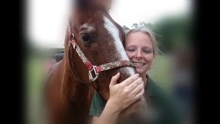 Welcome to Saddlewood Stables in the heart of Groveland Florida [upl. by Boehike]