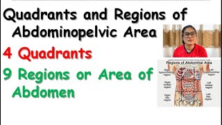 Quadrants and Regions of Abdominopelvic Area in Hindi  4 Quadrants  9 Regions or Area of Abdomen [upl. by Yren]