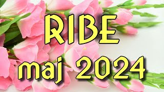 RIBE  Horoskop za MAJ 2024 [upl. by Barimah]