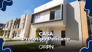 🏠¿Quieres conocer nuestra casa prototipo Pelícano  Ubicada en Xalapa  Casas Carpín [upl. by Andeee345]