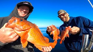 California Vermillion Rockfish Catch Clean and Cook [upl. by Necaj]