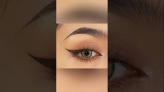 How to apply eyeliner tutorial for beginners eye eyemakeup ytviral [upl. by Htiffirg]