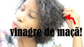 ♥ Restaurando o Cabelo com Vinagre de Maçã  Definição e Brilho  Aline Nicomédio [upl. by Delastre567]