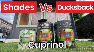 Cuprinol shades vs ducksback fence Paint what’s the difference [upl. by Asital]