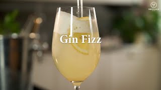 Gin Fizz [upl. by Alletneuq963]