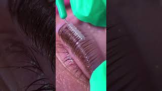 EYELASH MAKEUP TUTORIAL WITH MASKARA  shortsfeed shorts eyelash eyelashshorts viral trend [upl. by Wons930]