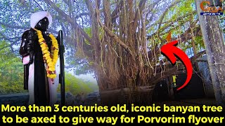 RIP 😢More than 3 centuries old iconic banyan tree to be axed to give way for Porvorim flyover [upl. by Lipfert]