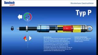 Blokkeerbare gasveren Type P [upl. by Jasper]