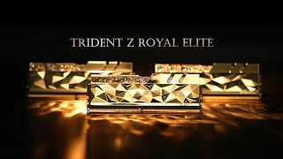 Trident Z Royal Elite Series  The Ultimate Luxury Performance DDR4 Memory [upl. by Llehctim]