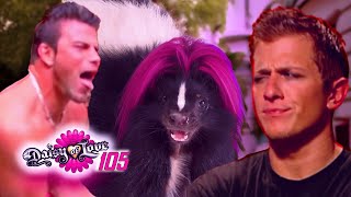 Skunk Attacks and MMA Fights Daisy of Love 105 Reaction [upl. by Legge]