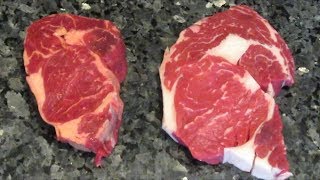 Grass Fed VS Grain Fed Beef [upl. by Capon]