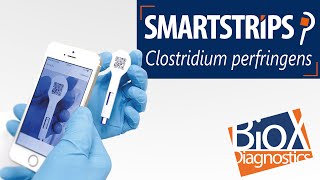 Clostridium perfringens Quantitative Test with Smartphone App [upl. by Crisey]