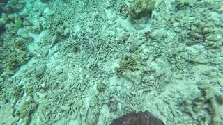 Maldives Underwater Near Water Villa Relaxing View [upl. by Aicilet]