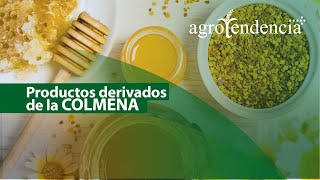 La apicultura  Parte II  PRODUCTOS DERIVADOS DE LA CRÍA DE ABEJAS [upl. by Fey]