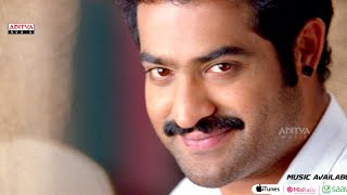 Rabasa Songs Trailers  Dam Damare Song  Jr NTR Samantha Pranitha  Rabhasa [upl. by Viridissa844]