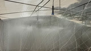 High pressure misting system  fogger system installation [upl. by Strohl440]