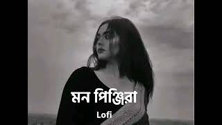 Mon Pinjira মন পিঞ্জিরা ।। Bengali lofi lofimusic lofiandreverb। [upl. by Einavoj310]