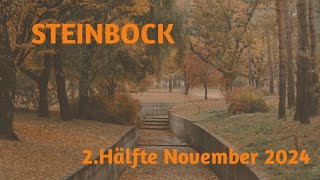 Steinbock 2 Hälfte November 2024  Mut zur Veränderung [upl. by Ayikahs]