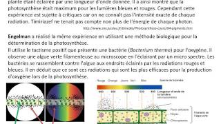 La photosynthèse partie2 TS spé SVT [upl. by Lynsey219]