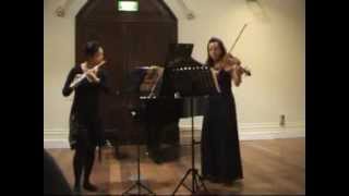 Hoffmeister Duo Concertante in G major for flute amp viola 1 Allegro [upl. by Lasky]