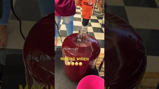 WHAT YOU CAN MAKE YOUR OWN WINE😳😳😳 this is part of degassing wine cool shorts short [upl. by Fairley]