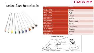 Lumbar Puncture Needle  Parts  Uses  Sites  Complications  How to Perform Lumbar Puncture [upl. by Nillor]