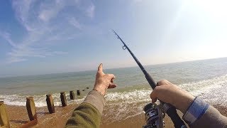 Beach Fishing Tips  Rigs Tips and Tactics for Plaice Fishing Flatfish [upl. by June]