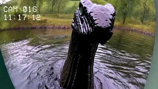 Top 5 MOST TERRIFYING Loch Ness Monster Encounters 2024 [upl. by Yttam521]