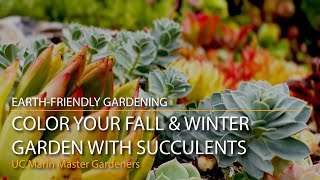 Color Your Fall amp Winter Garden With Succulents [upl. by Durman533]