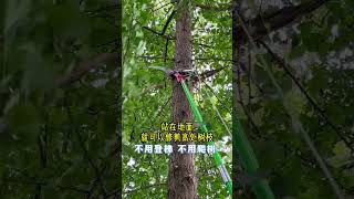 Garden tree cutting and trimming tool form China 中国园林树木切割和修剪工具 [upl. by Attenauqa]