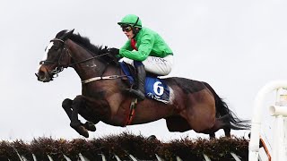 ECHOES IN RAIN is different class in Limestone Lad Hurdle at Naas [upl. by Bbor128]