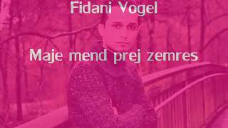 Fidani Vogel  Maje mend prej zemres 2012 [upl. by Althee]